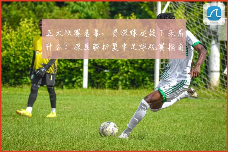 五大联赛落幕，资深球迷接下来看什么？深度解析夏季足球观赛指南